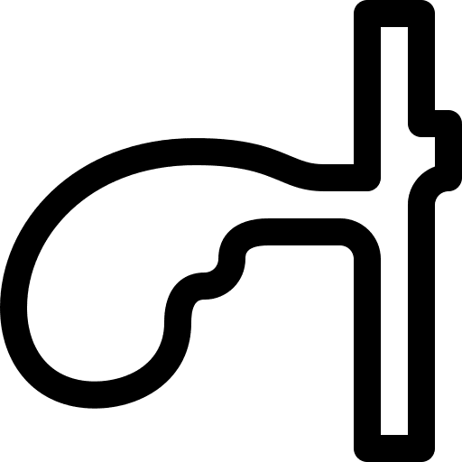 Gallbladder body part human body healthcare and medical icon