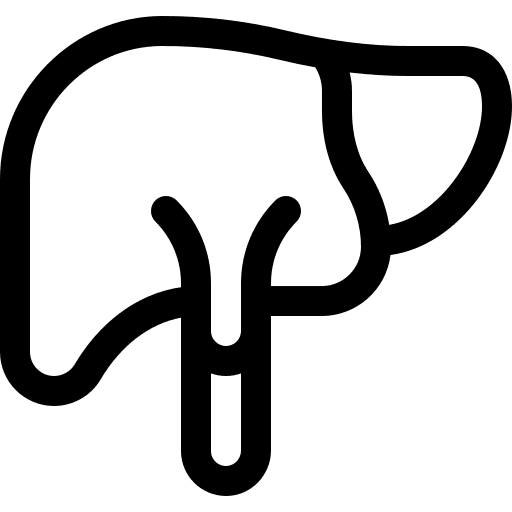 Liver healthcare and medical organ body parts icon