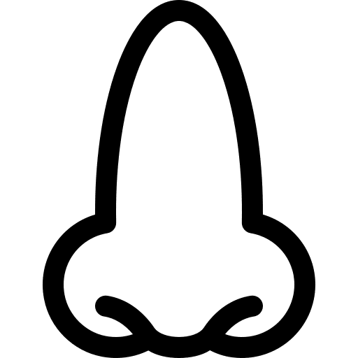 Nose healthcare and medical body parts face icon