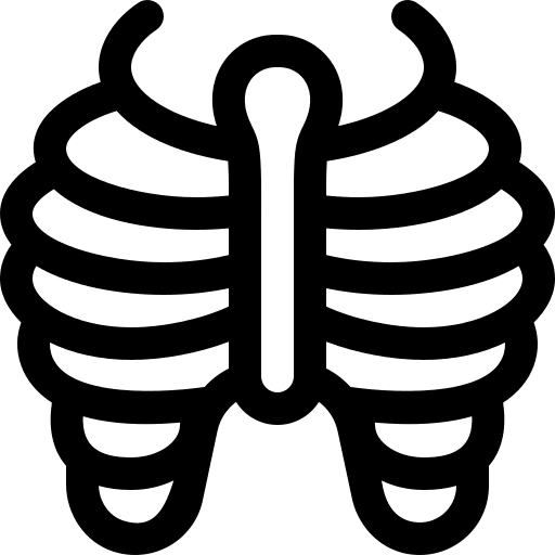 Ribs skeleton organ ribs icon