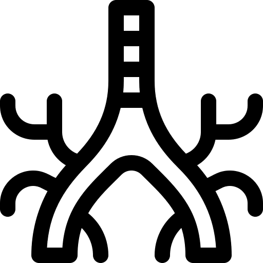 Bronchus healthcare and medical medicine bronchus icon