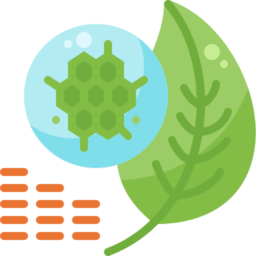 Analysis analyze plant leaf leaf icon
