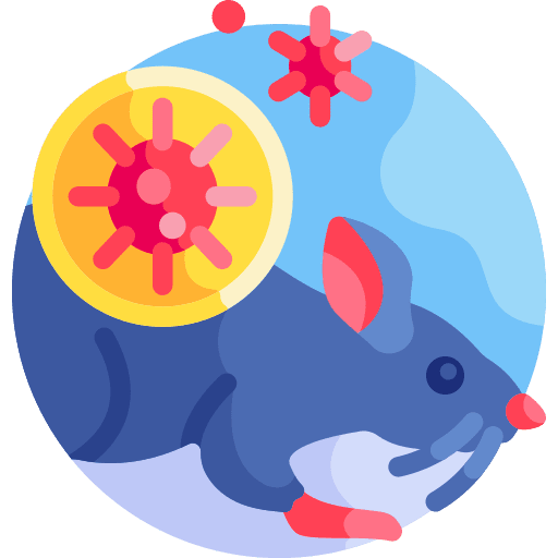 Rat animal covid 19 rat icon