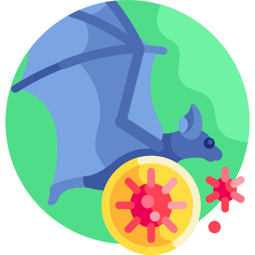 Bat transmission pandemia healthcare and medical icon