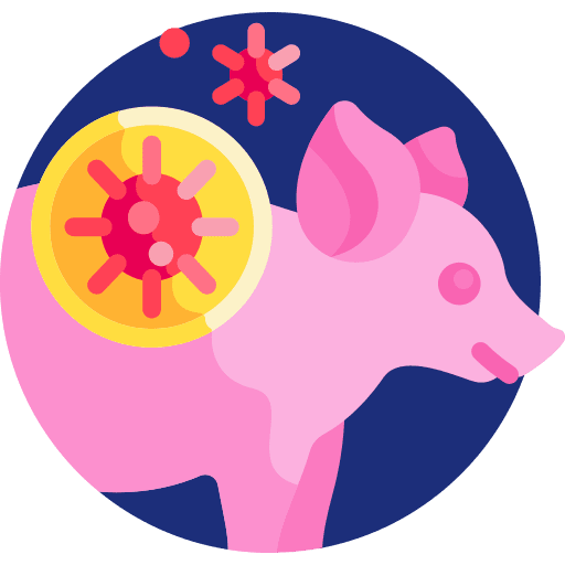 Pig healthcare and medical coronavirus virus icon