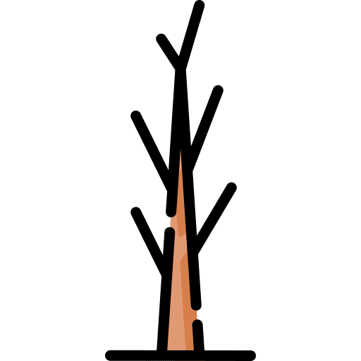 Tree yard nature botanical icon