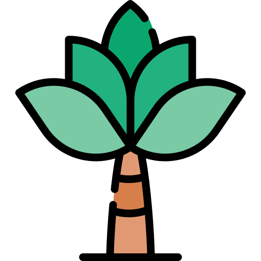 Tree forest yard tree icon