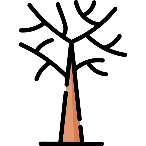 Tree tree botanical yard icon