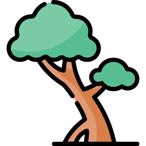 Tree forest tree botanical icon