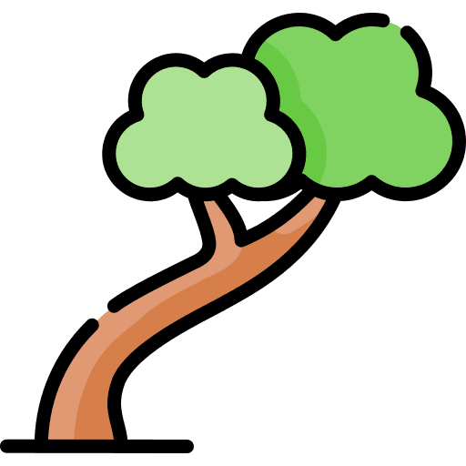 Tree forest tree yard icon