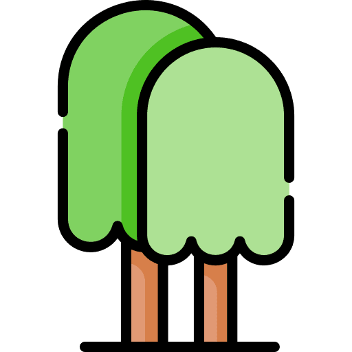 Tree yard tree botanical icon