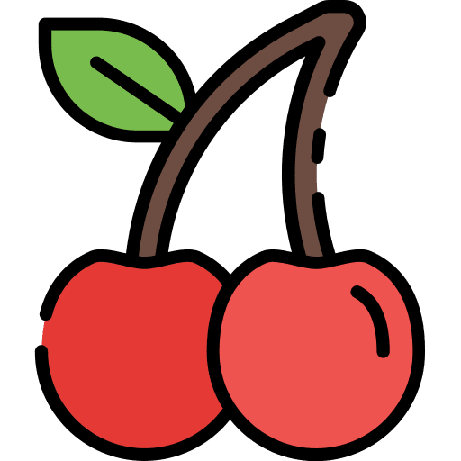 Cherries diet cherries fruit icon