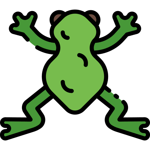 Frog amphibian animal kingdom animals icon