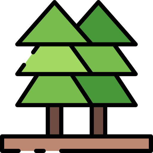 Pine tree tree nature spruce icon