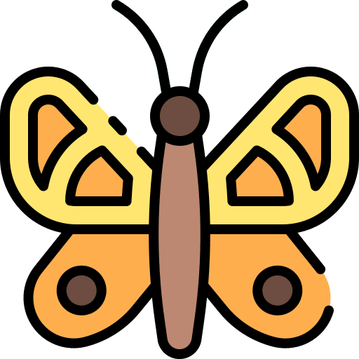 Butterfly bug beautiful spring icon