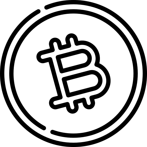 Bitcoin bitcoin currency cash icon