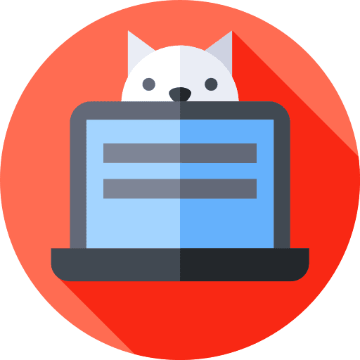 Laptop work cat office icon