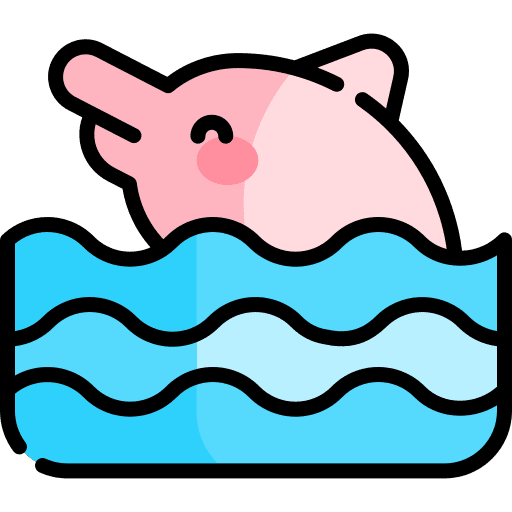 Dolphin sealife fauna sea icon