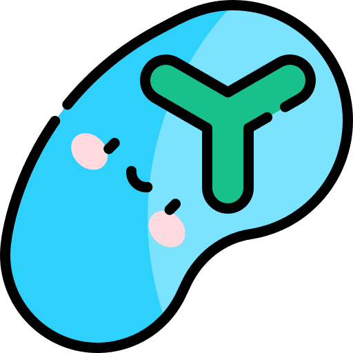 Flip flops fashion summertime flip flops icon