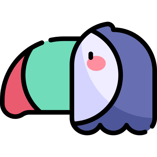 Toucan animals beak bird icon