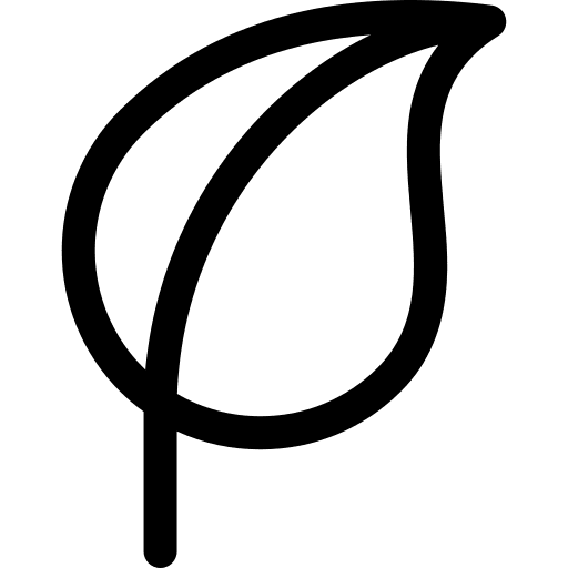 Leaf nature plant leaves icon