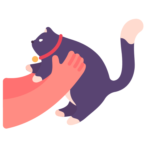 Cat mammal cat feline icon