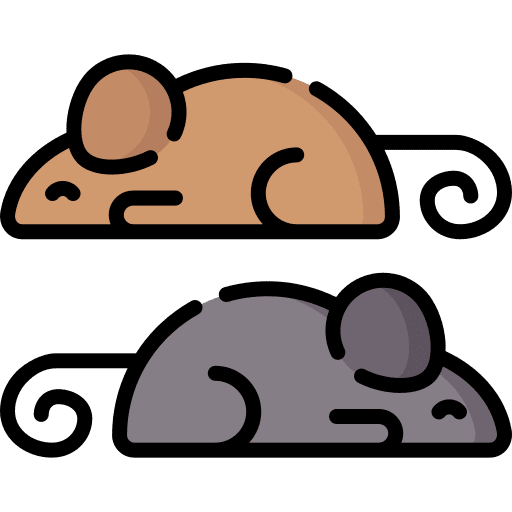 Animals science animals rats icon