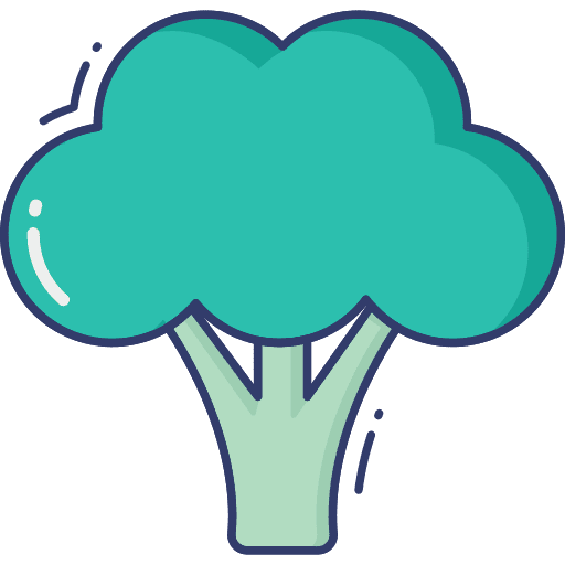 Broccoli vegetable food and restaurant diet icon