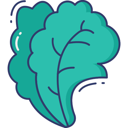 Lettuce food and restaurant salad vegetable icon