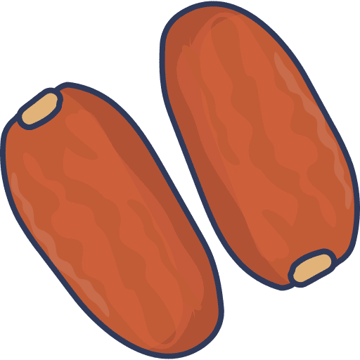 Dates vegan vegetarian dates icon