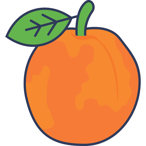 Orange food and restaurant vegetarian healthy food icon