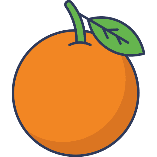 Orange healthy food vegan orange icon