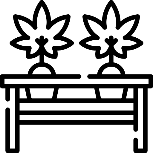 Hydrophonics hemp leaf plant icon