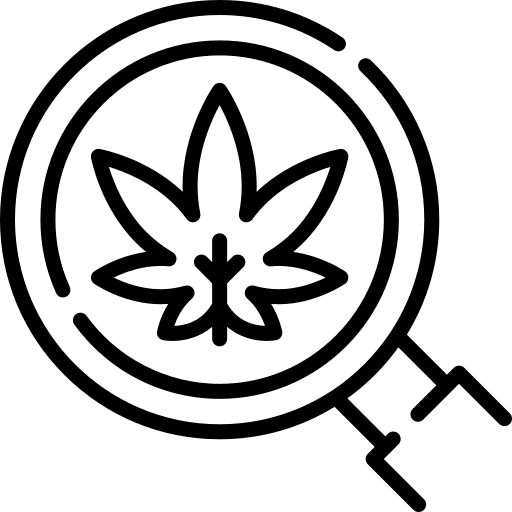 Magnifying glass cannabis cbd weed icon