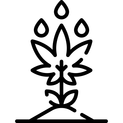 Cultivation cultivation drug marijuana icon