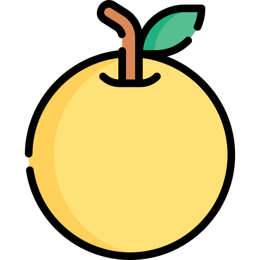 Orange vegan food and restaurant vegetarian icon