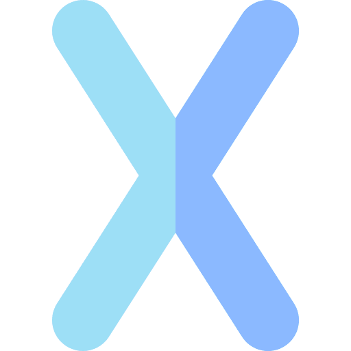 X letter abecedary shapes and symbols icon