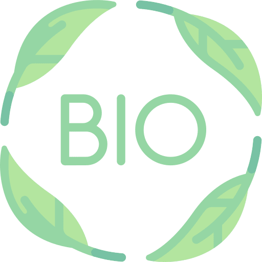 Bio leaves nature bio icon