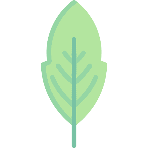Leaf plant herb leaf icon