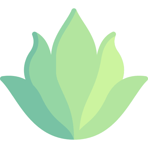 Aloe vera natural nature medical icon