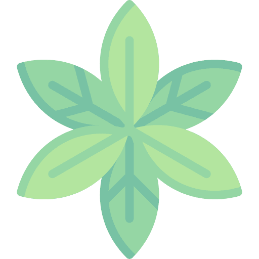 Leaves natural herbal herbs icon