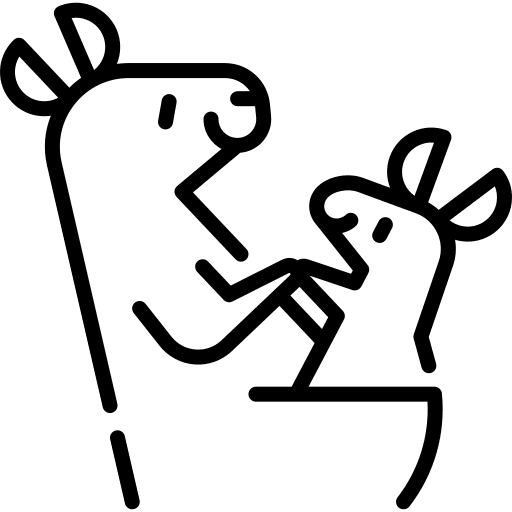 Kangaroo animals mammal baby icon