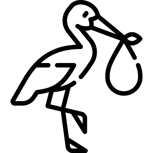Stork animals stork birth icon