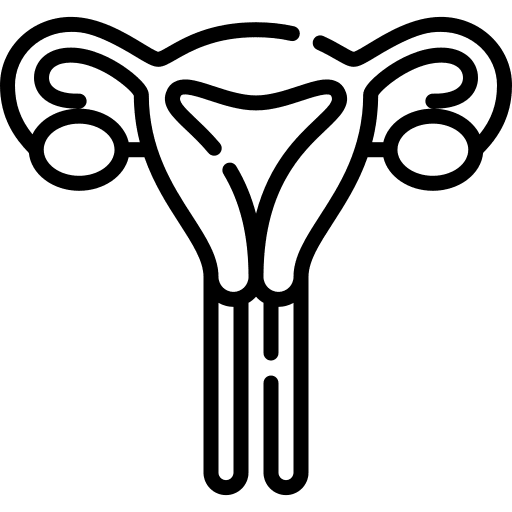 Womb uterus womb reproductive system icon