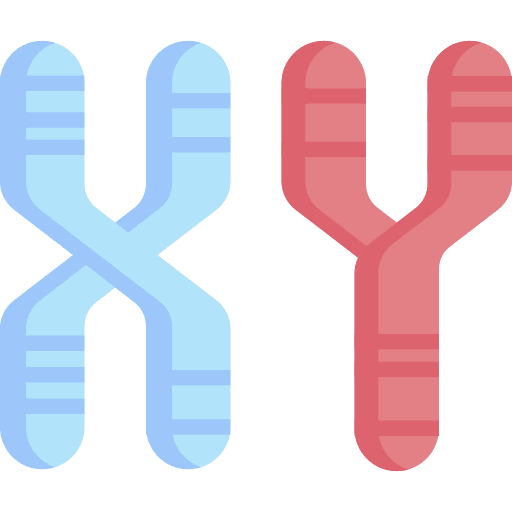 Chromosome dna healthcare and medical xx icon