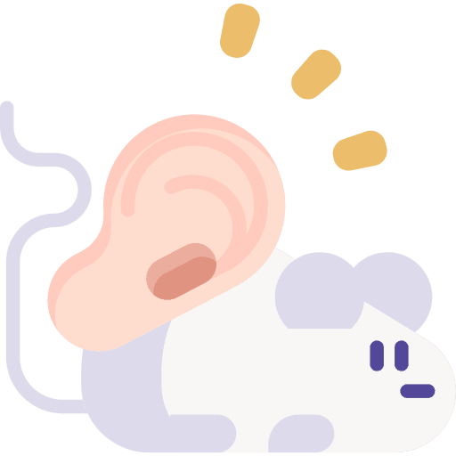 Organ growing mouse ear biology icon