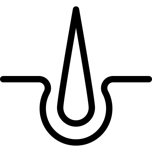 Hair epidermis dermis dermathology icon