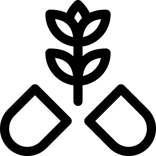 Pill pharmacy holistic medicine icon