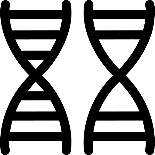 Dna healthcare genetical structure icon