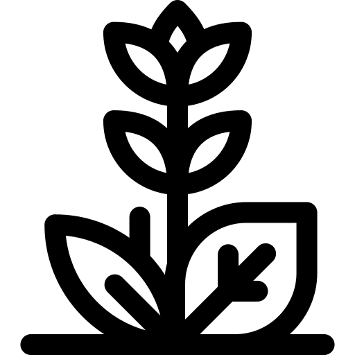 Plant herbal alternative medicine icon